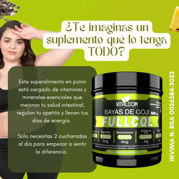 BAYAS DE GOJI FULLCQL 500gr