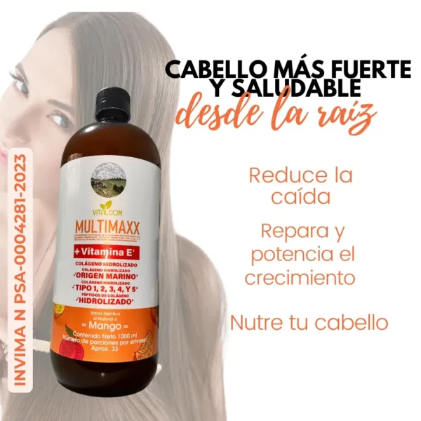 MULTIMAXX MANGO 1000ML VITALCOM