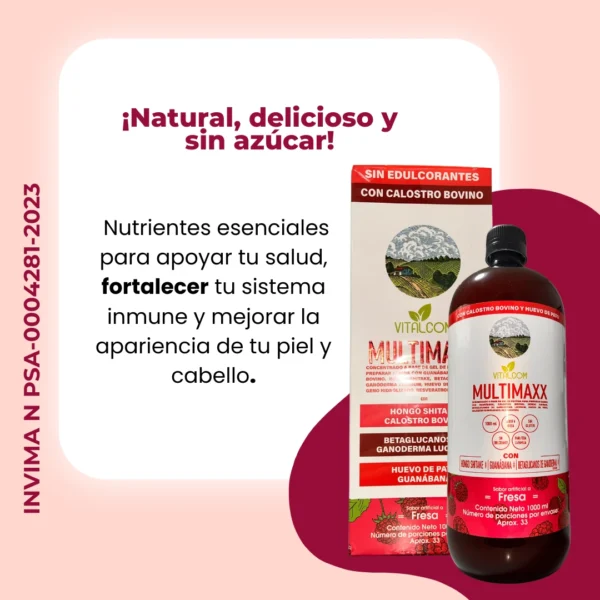MULTIMAXX FRESA 1000ML VITALCOM