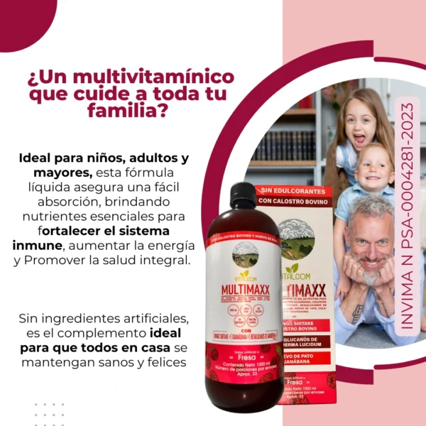 MULTIMAXX FRESA 1000ML VITALCOM