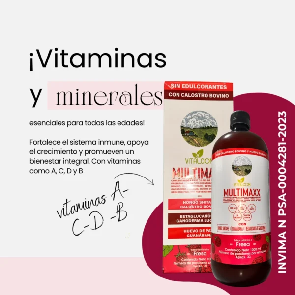 MULTIMAXX FRESA 1000ML VITALCOM