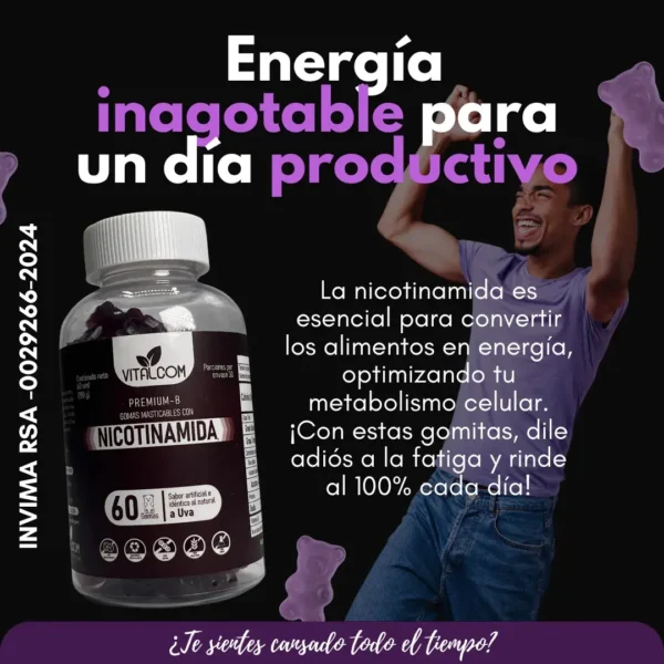 GOMAS NICOTINAMIDA X60