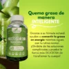 GOMAS VINAGRE DE MANZANA X60