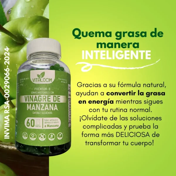 GOMAS VINAGRE DE MANZANA X60