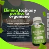 GOMAS VINAGRE DE MANZANA X60