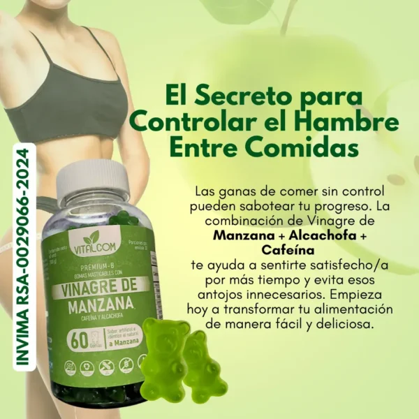 GOMAS VINAGRE DE MANZANA X60