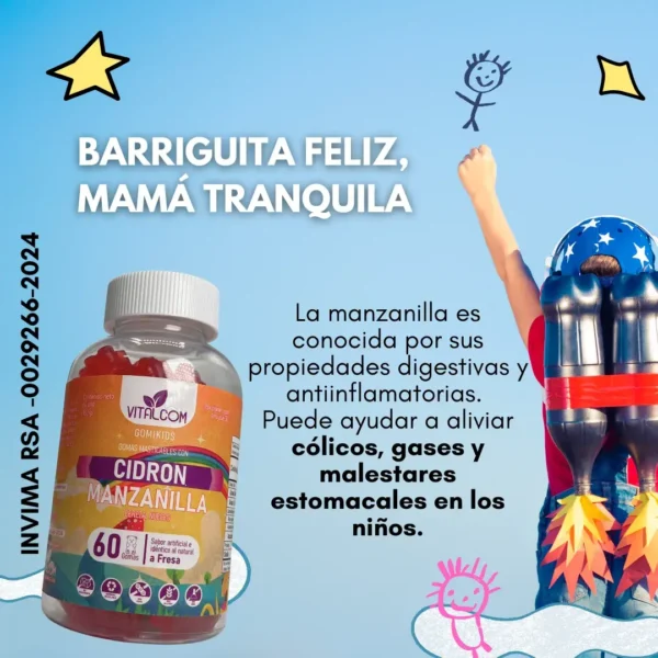 GOMIKIDS CIDRON DE MANZANA VITALCOM X60