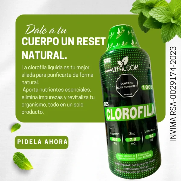 CLOROFILA 1000ML