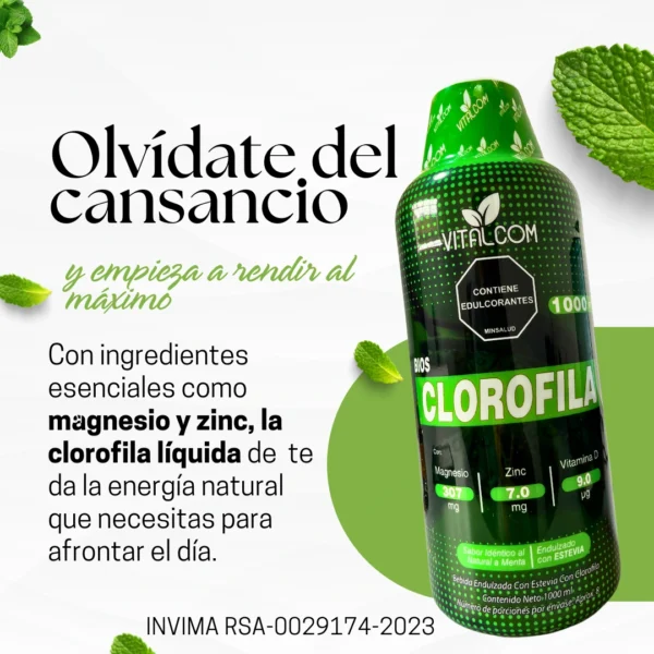 CLOROFILA 1000ML