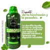 CLOROFILA 1000ML