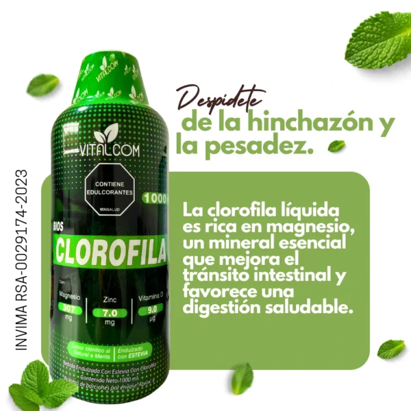 CLOROFILA 1000ML