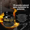SHILAJIT 125ml